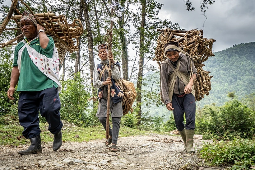 המסע בעקבות ציידי הדבש במצוקי ההימאליה בנפאל