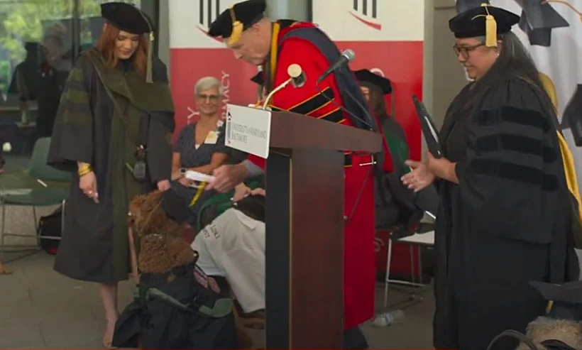 הענקת תואר ''דוגטור''