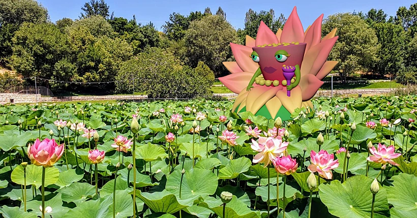 בוטניפלצת בגן הבוטני בירושלים