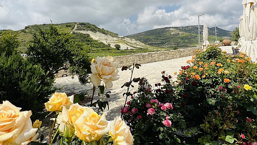 וף מיקב בהרי הטרודוס