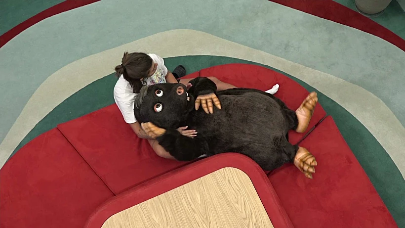 האח הגדול עונה 5, חפי וספיר