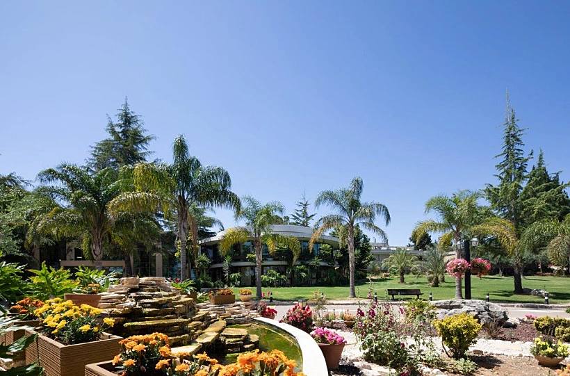 אסיינדה ביער