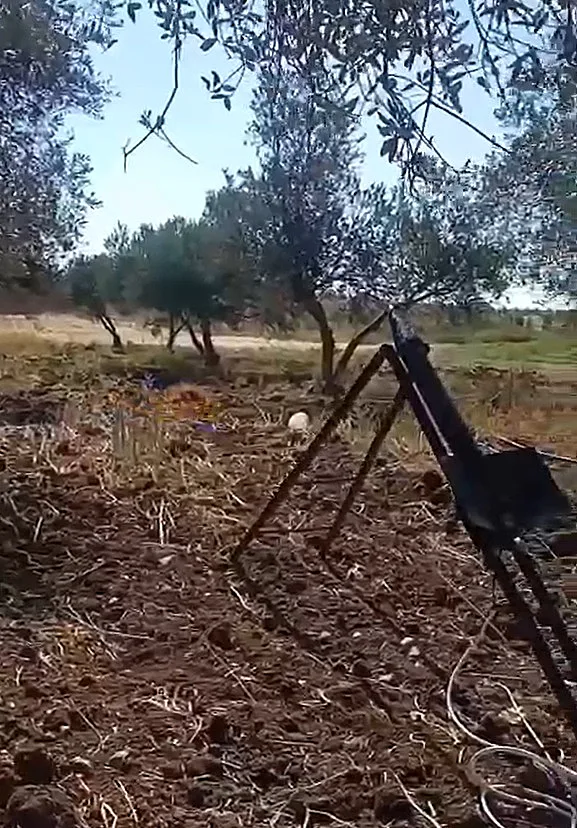 המשגר מתוך התיעוד