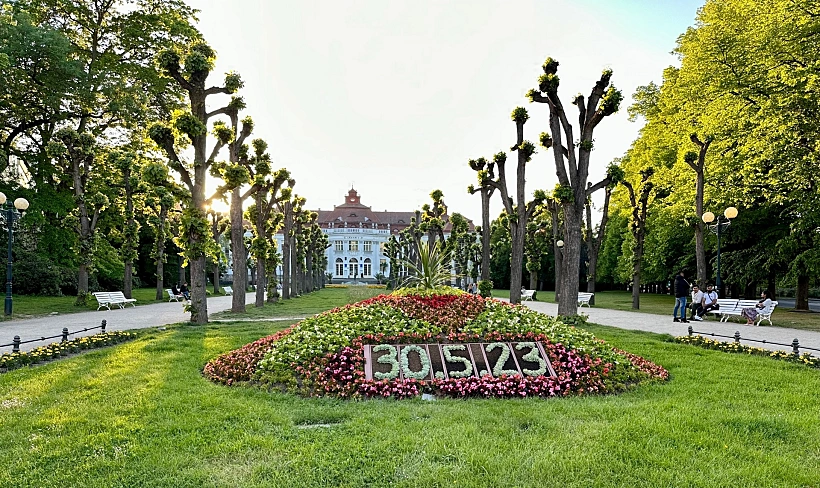 קרלובי וארי