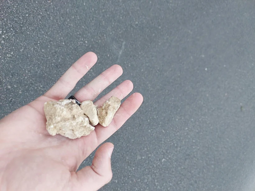 Whatsapp Image 2023 07 02 At 1