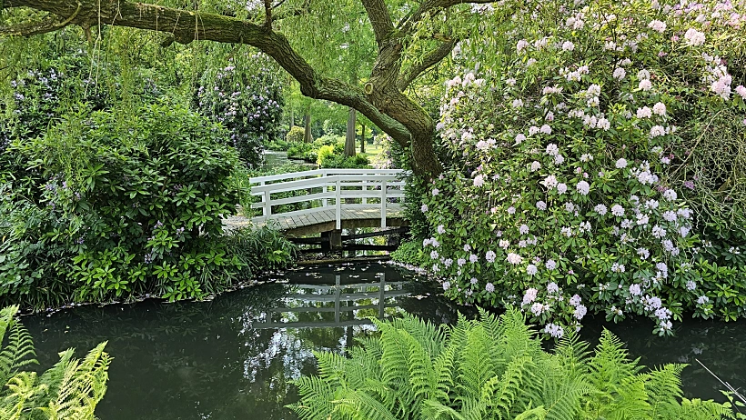 איינדהובן הולנד