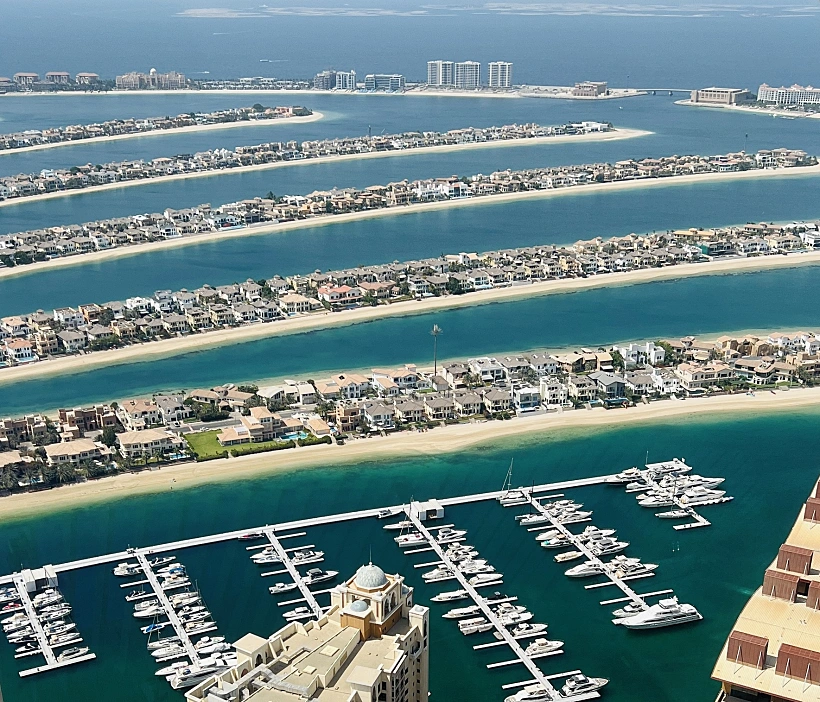 פאלם ג׳ומיירה - אי הדקל,