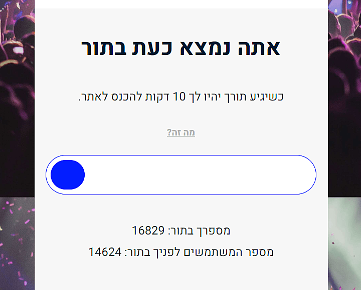 סולד אאוט נועה קירל