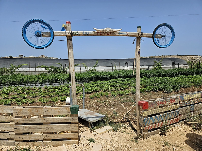 החממות של ד''ר פלפל