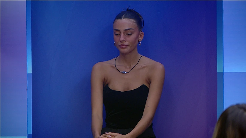 דיאן שוורץ, קרוסלה, האח הגדול