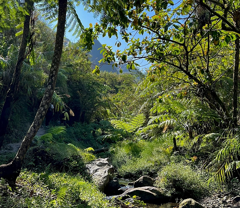 בדרך להר Pinatubu