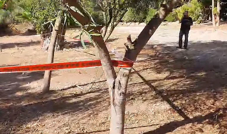 זירת הרצח במכבים