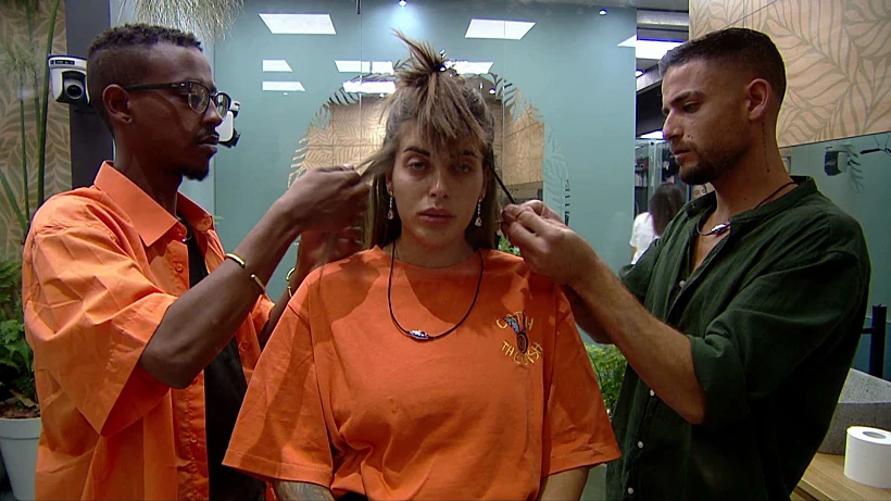 ספיר, אברהם, שניר, האח הגדול