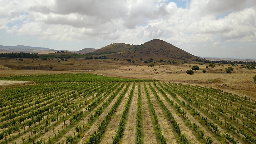 הנוף ממתחם הגלמפינג באורטל