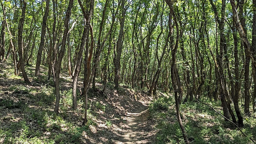 שבילי הליכה באסור זיטסה