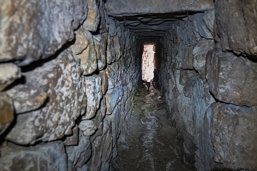 הנקבה של עין ביכורה