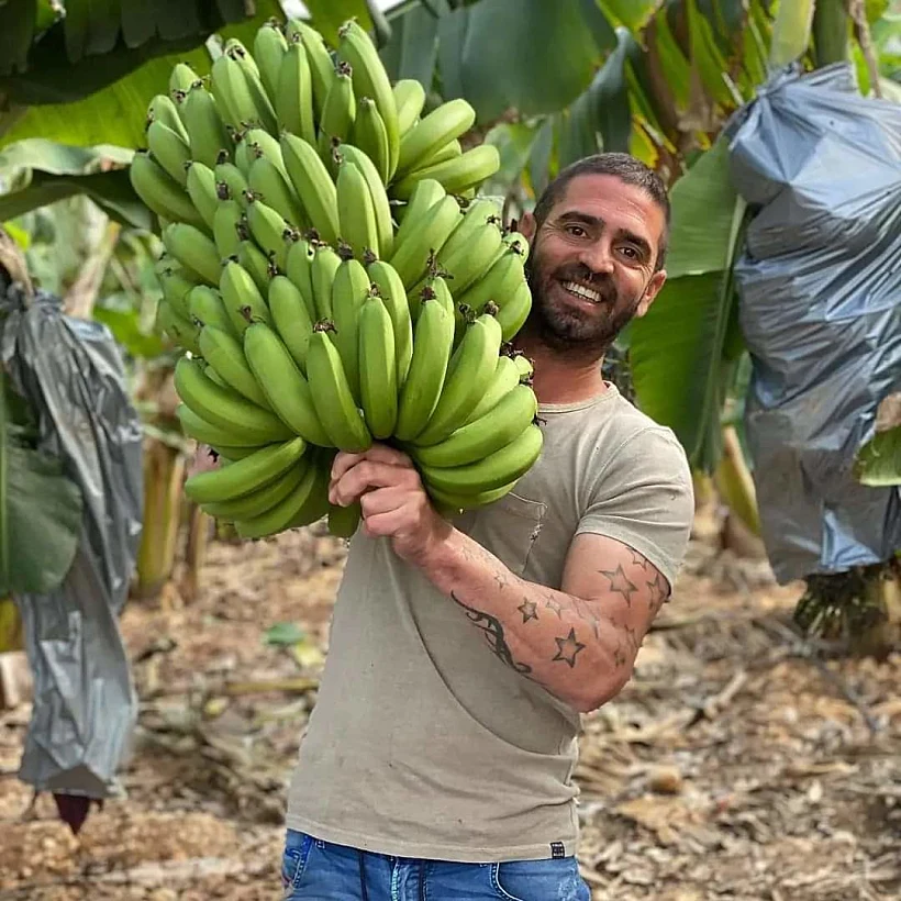 שרון תמם, חקלאי דור שלישי