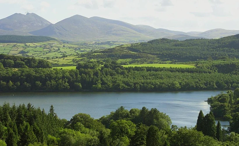 היופי עוצר הנשימה ב-Castlewellan Forest Park