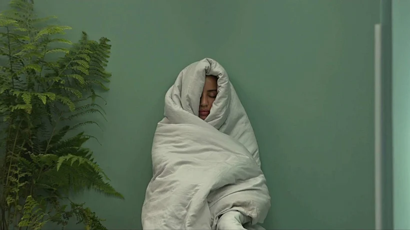 האח הגדול עונה 5