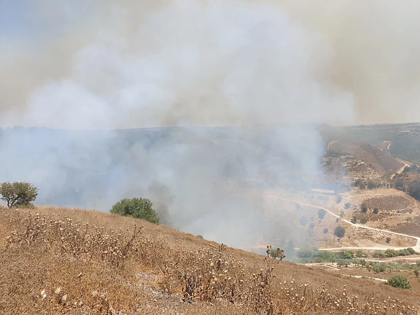 Whatsapp Image 2023 07 29 At 1