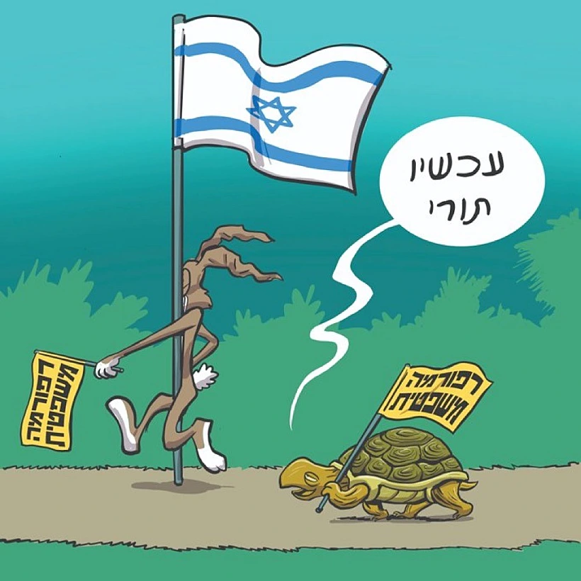 אורי פינק