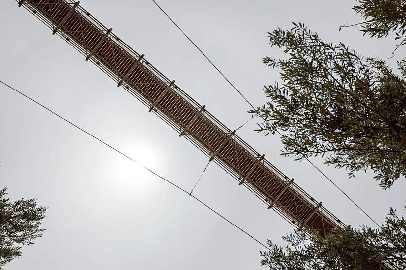 Whatsapp Image 2023 07 30 At 1