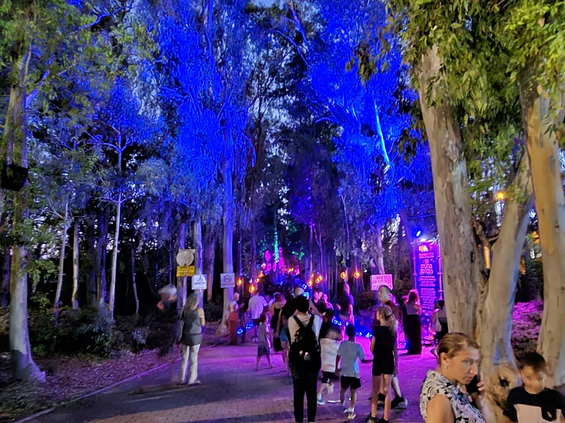 פסטיבל החשמל