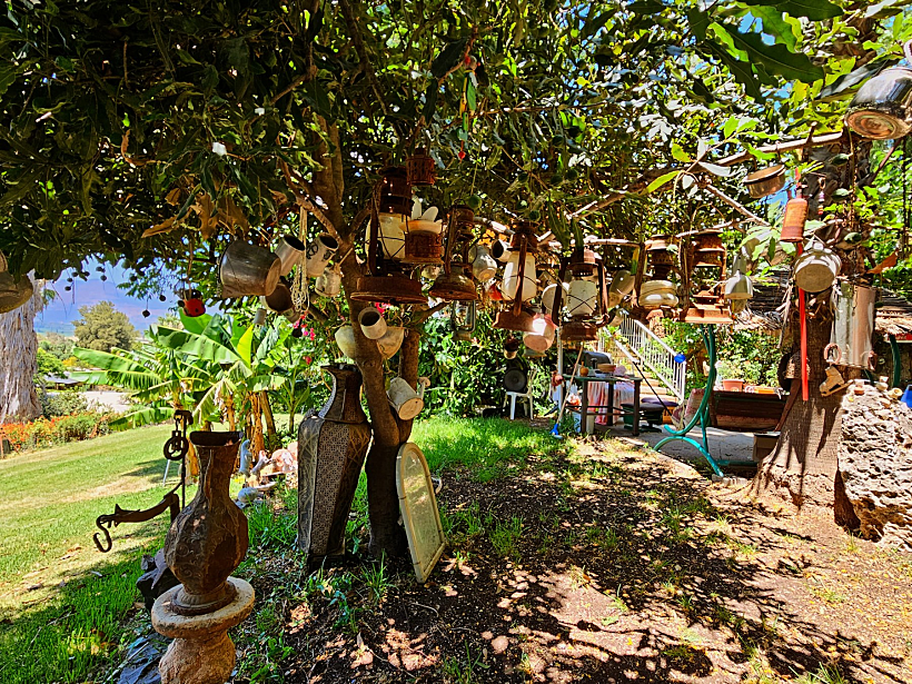 אמנות ברחבי כפר סאלד