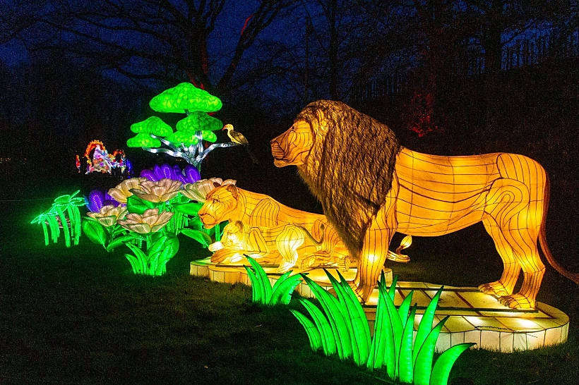 פסטיבל האורות בנמל תל אביב