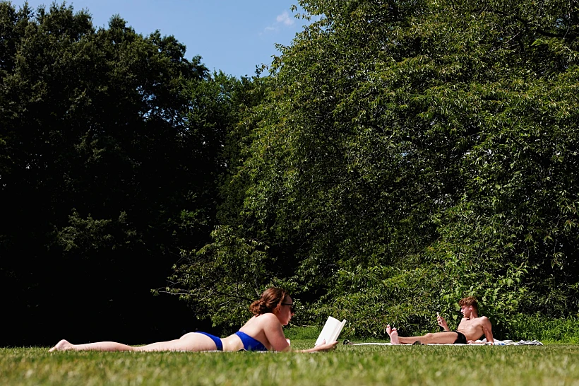 משתזפים בסנטרל פארק בניו יורק בחודש יולי