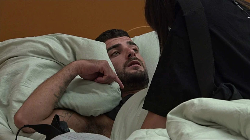 שי, שניר, האח הגדול