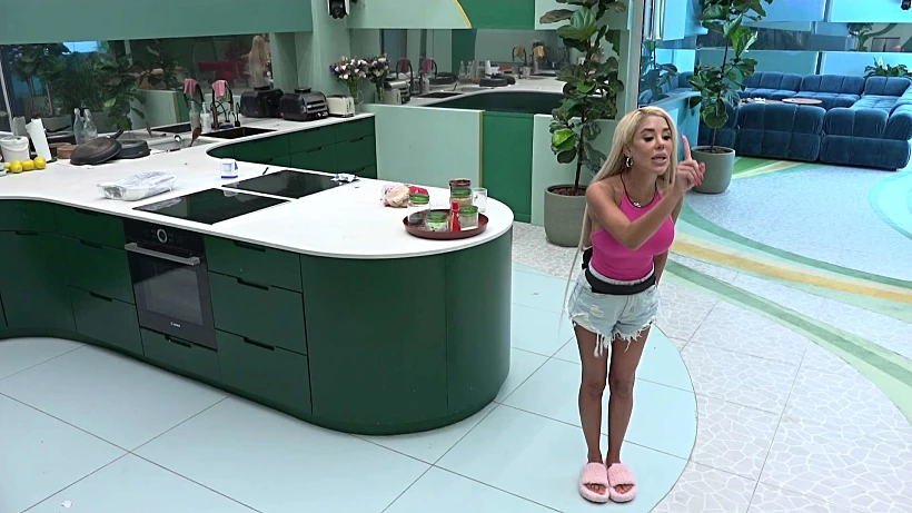 סתיו קצין, האח הגדול