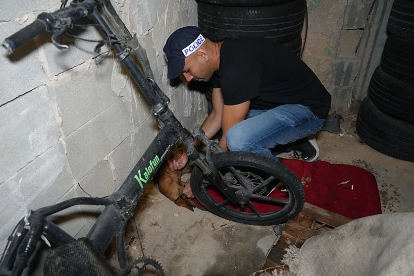 שוטר מפנה כלב שנמצא בדירתו של החשוד