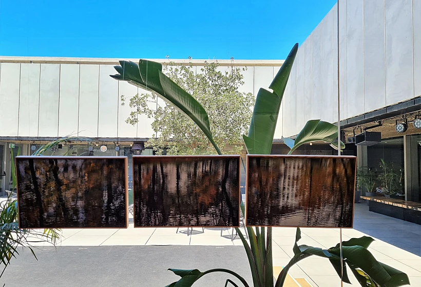 מרכז תאו הרצליה