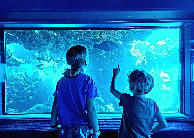 המצפה התת ימי