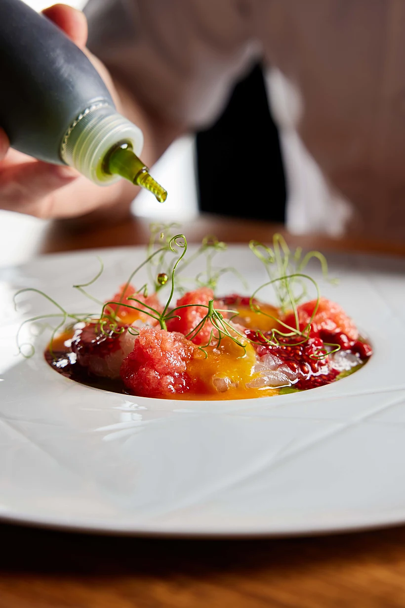 טופולופומפו