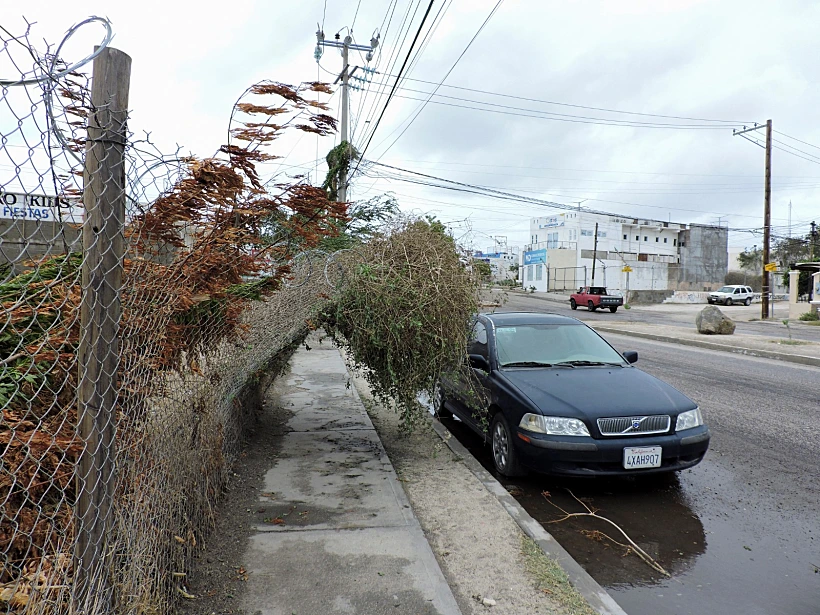 נזקי הסופה בחצי האי באחה קליפורניה במקסיקו הילארי