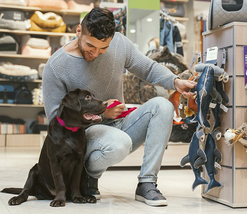 0285edb3 Fe01 43dc A835 113c72