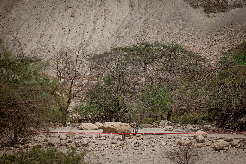 זירת האסון בנחל דוד