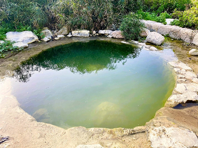 מעיינות בחיפה