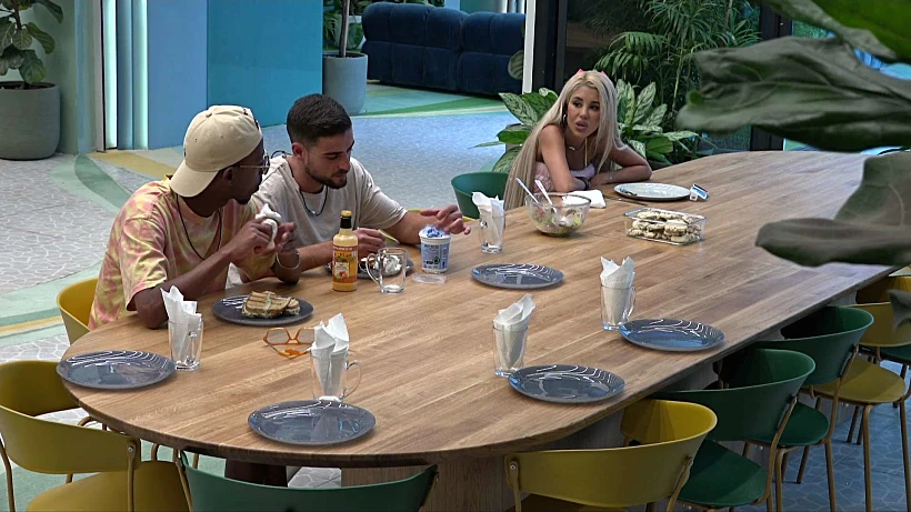 האח הגדול עונה 5, אברהם, שניר וסתיו