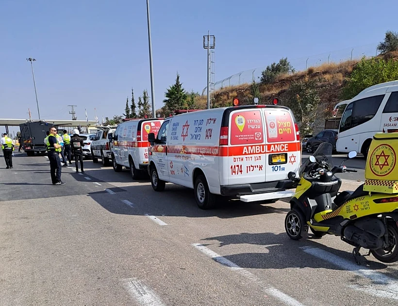 Whatsapp Image 2023 08 31 At 0