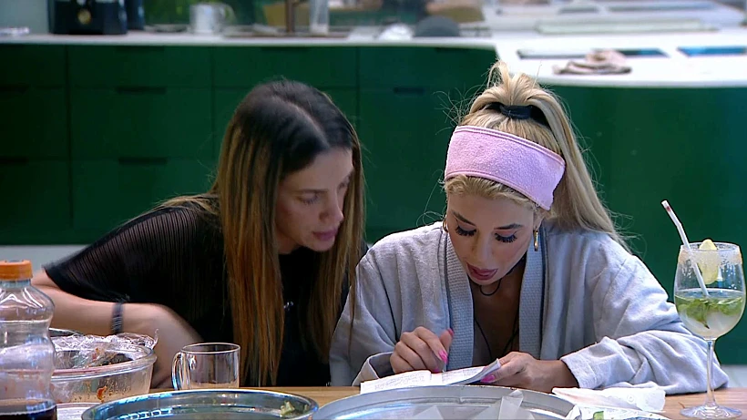 האח הגדול עונה 5, סתיו ויובל מעתוק