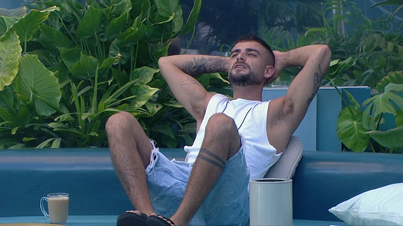 האח הגדול. שניר