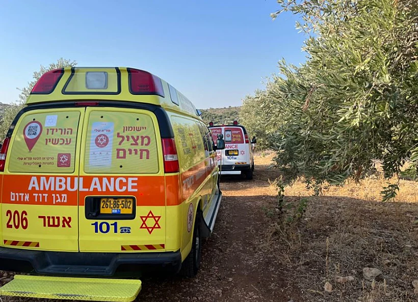 הזירה במטע הזיתים ליד אבו סנאן