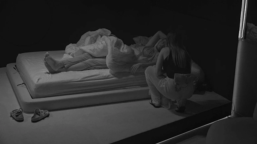 האח הגדול עונה 5, יענקי ויובל מעתוק