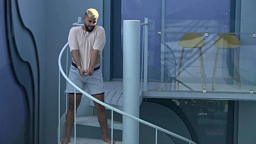 האח הגדול. ליאל