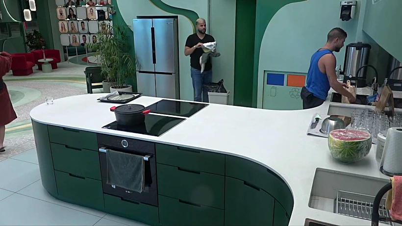 שניר, ליאל, האח הגדול