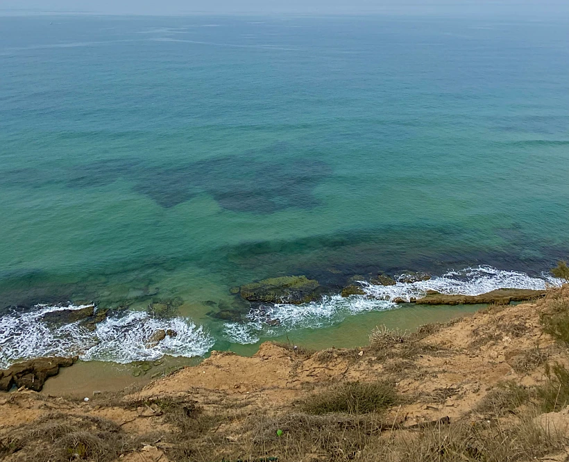 שמורת חוף השרון