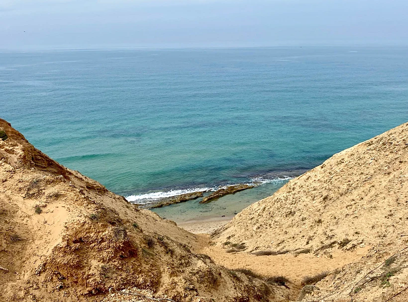 שמורת חוף השרון